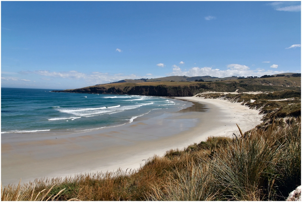 04 - Presqu'ile d'Otago (4).jpg